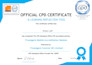 provide professional bookkeeping and accounting services